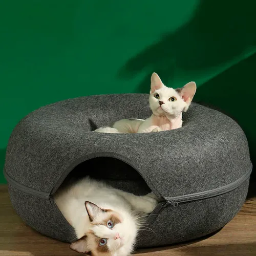 59.749.348 FABIO RODRIGUES DA SILVA FILHO