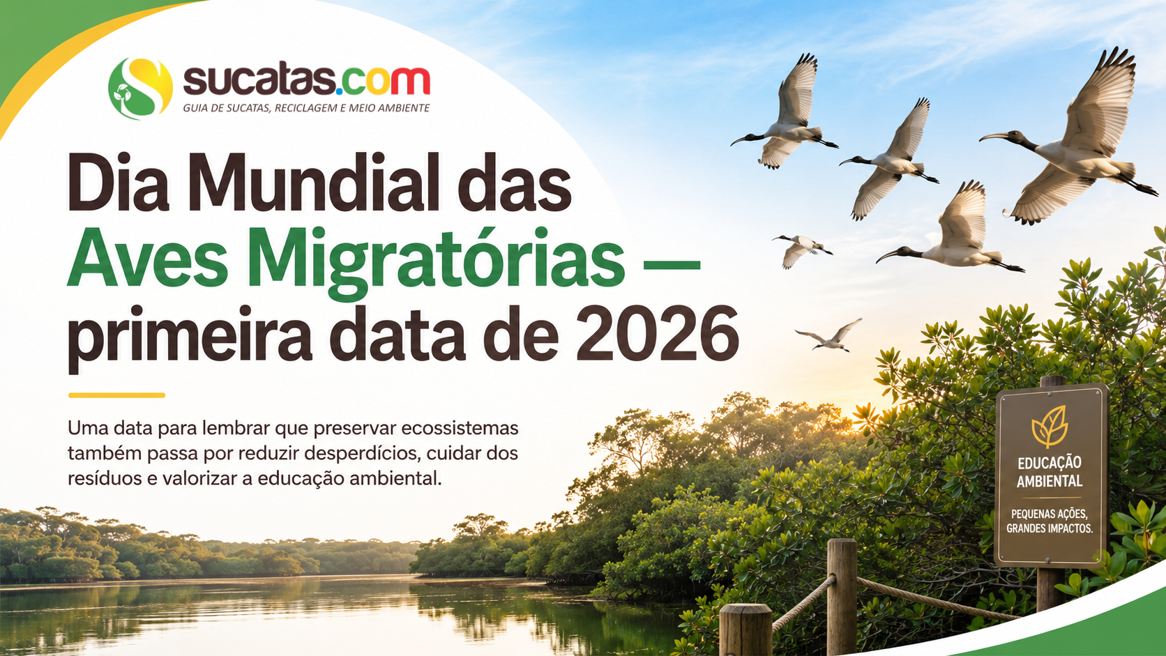 Dia Mundial das Aves Migratórias — primeira data de 2026 — 9 de maio de 2026